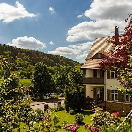 Elbufer - 